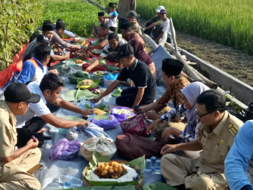 Kaleman Padi TradisI Leluhur Masyarakat Semenpinggir